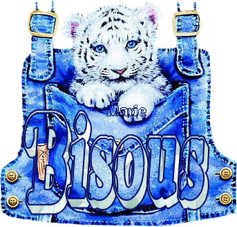 un tigre
